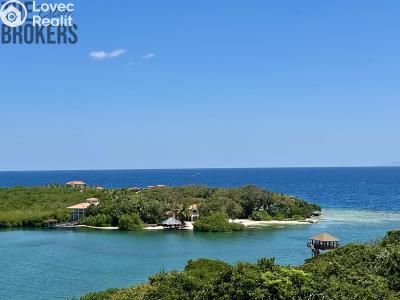 Sale villa Coxen Hole,Honduras č. 20