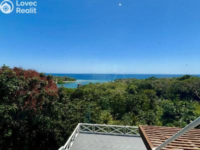 Sale villa Coxen Hole,Honduras č. 46