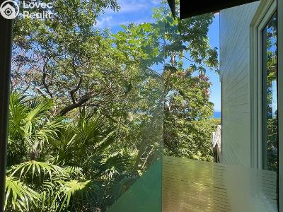 Sale villa Coxen Hole,Honduras č. 87