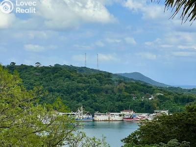 Sale villa Coxen Hole,Honduras č. 9