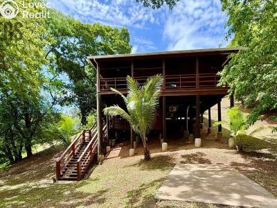 Prodej bytu 3+KK Coxen Hole,Honduras č. 1