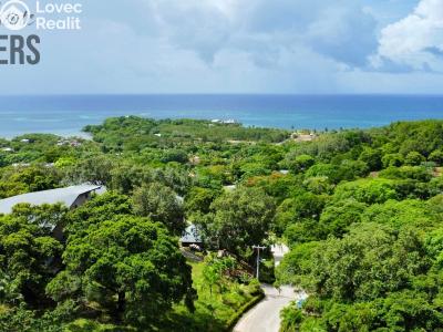 Prodej bytu 3+KK Coxen Hole,Honduras č. 2