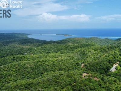 Prodej bytu 3+KK Coxen Hole,Honduras č. 8