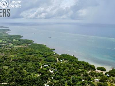 Prodej bytu 3+KK Coxen Hole,Honduras č. 11