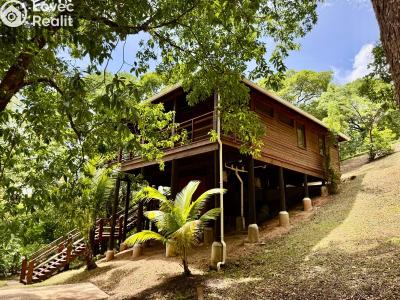 Prodej bytu 3+KK Coxen Hole,Honduras č. 16