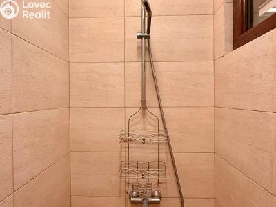 Sale apartment 3+KK Roatan, č. 39
