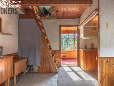 Sale hut Chyňava č. 12