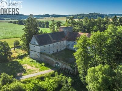 Sale historical properties Buzice č. 1