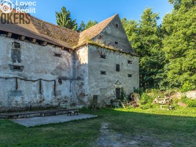 Sale historical properties Buzice č. 2