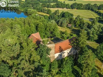 Sale historical properties Buzice č. 4