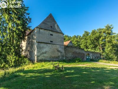 Sale historical properties Buzice č. 5