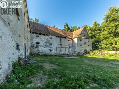 Sale historical properties Buzice č. 6