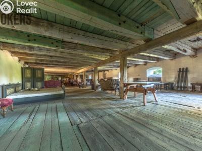 Sale historical properties Buzice č. 7