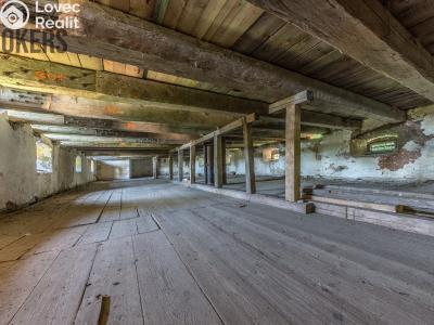 Sale historical properties Buzice č. 11