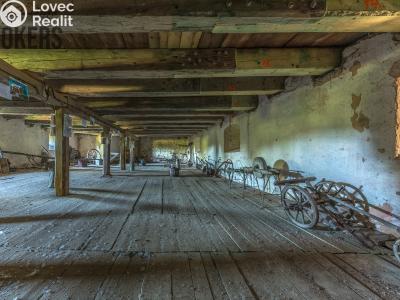 Sale historical properties Buzice č. 12