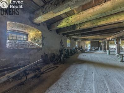 Sale historical properties Buzice č. 13