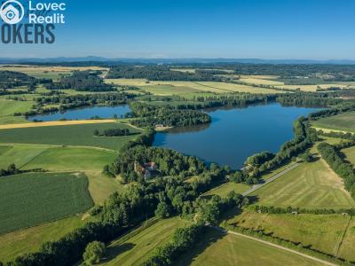 Sale historical properties Buzice č. 14