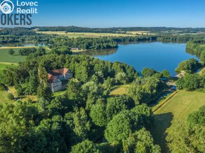 Sale historical properties Buzice č. 15