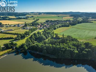 Sale historical properties Buzice č. 17