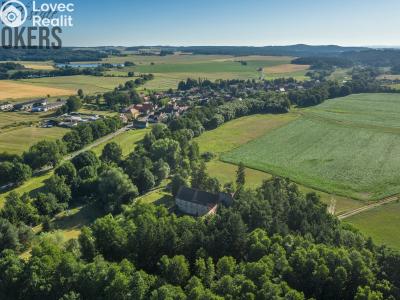 Sale historical properties Buzice č. 18