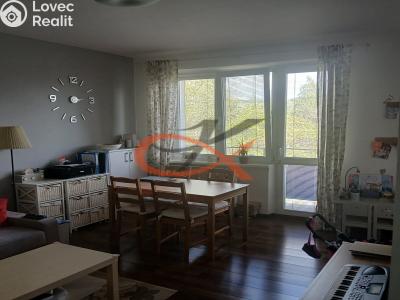 Pronájem bytu 2+1 Rožnov pod Radhoštěm, 5. května č. 3