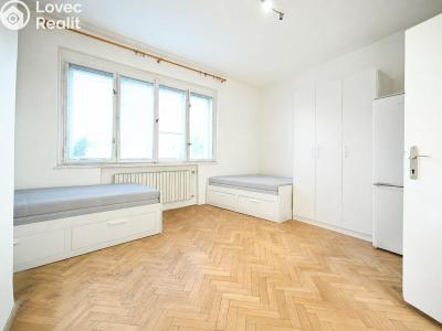 Pronájem specifického typu nemovitosti Praha, Filmařská č. 5