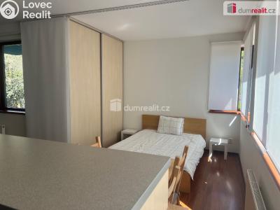 Sale apartment 1+KK Praha-Ďáblice, Hořínecká č. 11