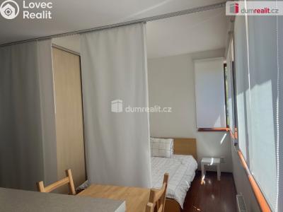 Sale apartment 1+KK Praha-Ďáblice, Hořínecká č. 15