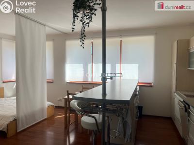 Sale apartment 1+KK Praha-Ďáblice, Hořínecká č. 17