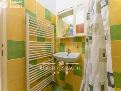 Prodej bytu 1+KK Brandýs nad Labem-Stará Boleslav, Lázeňská č. 10
