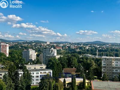 Pronájem bytu 1+1 Liberec, Letná č. 11