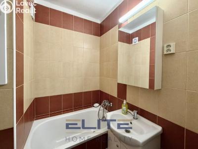 Pronájem bytu 1+1 Liberec, Letná č. 15