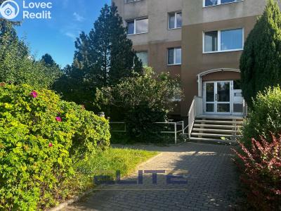 Pronájem bytu 1+1 Liberec, Letná č. 20