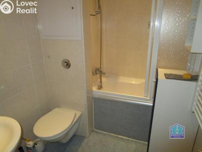 Аренда квартиры 1+1 Bor, Přimdská 538 č. 11