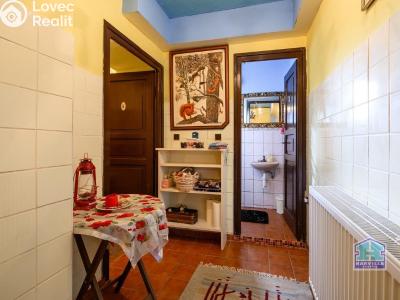 Продаж сімейного будинку Bor č. 18