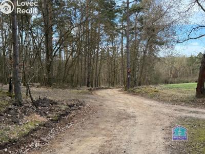 Prodej chaty Čerňovice č. 26