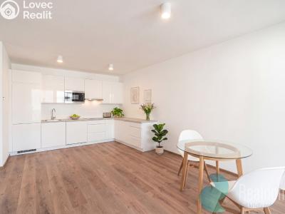 Sale apartment 3+KK Frymburk č. 7
