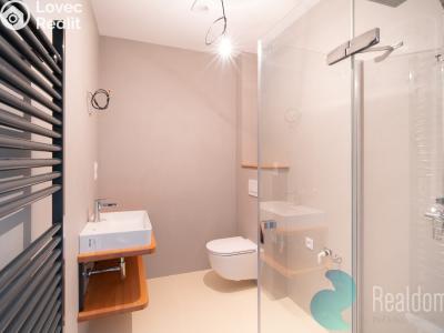 Sale apartment 3+KK Frymburk č. 16