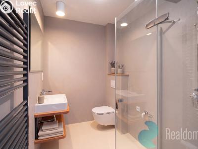 Продаж квартири 3+KK Frymburk č. 4