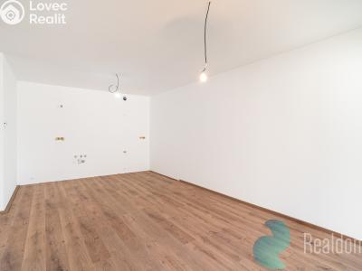 Продаж квартири 3+KK Frymburk č. 13