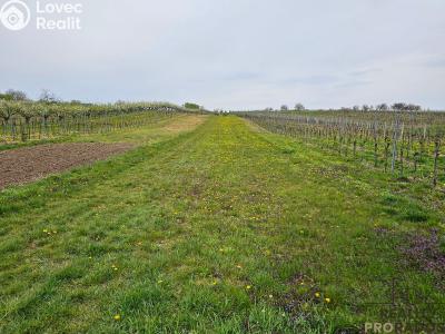 Sale project Starý Poddvorov č. 2