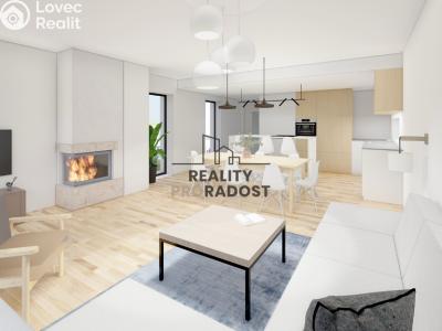 Sale project Starý Poddvorov č. 9