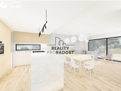 Sale project Starý Poddvorov č. 10