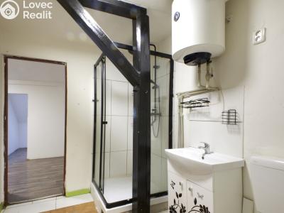 Rent apartment 3+KK Chodov, Tovární 223 č. 2