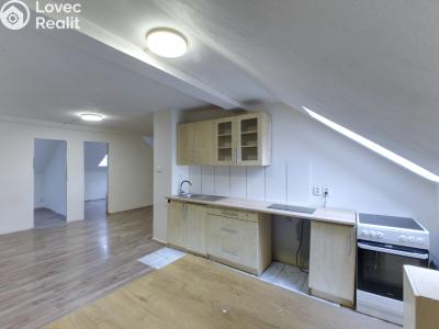 Rent apartment 3+KK Chodov, Tovární 223 č. 3