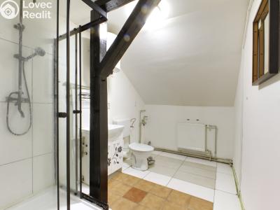 Rent apartment 3+KK Chodov, Tovární 223 č. 6