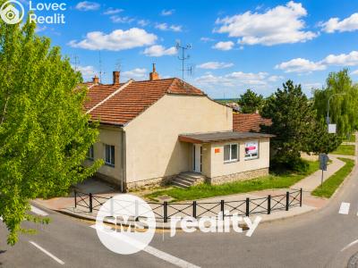 Продаж сімейного будинку Podivín, Palackého č. 55