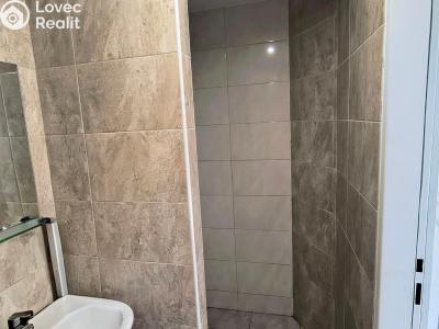 Sale apartment 1+1 Sedlčany, Sedlecká 51 č. 7