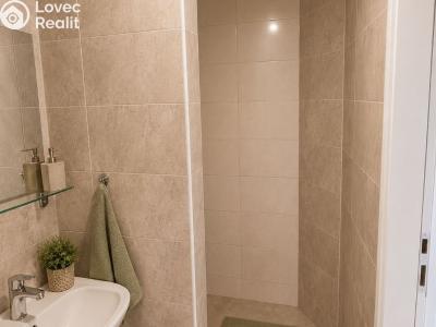 Sale apartment 1+1 Sedlčany, Sedlecká 51 č. 3