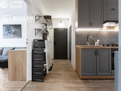 Prodej bytu 2+1 Chomutov, Palackého 4272 č. 4